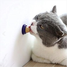 롤리펀 고양이 마약캔디 영양사탕, 1개
