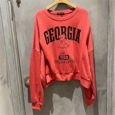 정토이즈레겐보겐