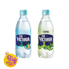 빅토리아 탄산수 청귤+초록매실 500ml 40개 상품 이미지