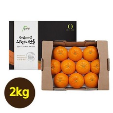 [산지애]제주 햇 레드향 2kg, 단품