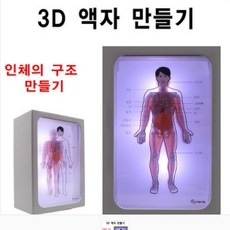 수문사인체와구조pdf