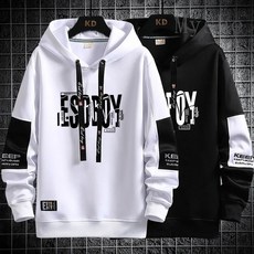 팔멕스텔라후드