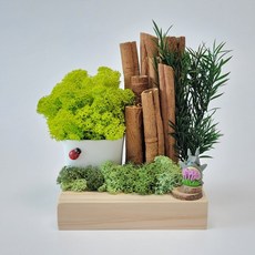 원예비대면수업