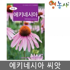 에키네시아씨앗
