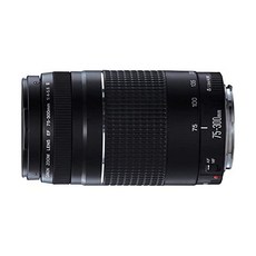 캐논ef70-300