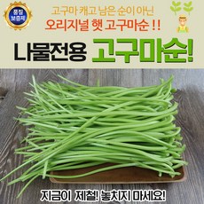 햇 고구마순 나물전용 품종 줄기부분만 알차게 영양가득, 2kg, 1개