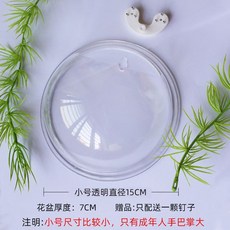 아르호이