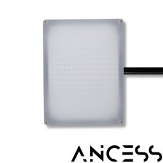 ancess