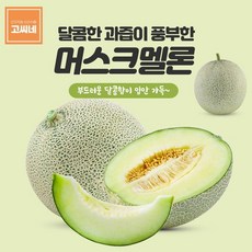 고령멜론