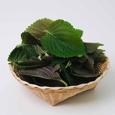[자연맛남] 친환경인증 농협선별 추부깻잎 1kg, 1