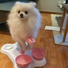 狗架 狗狗美容 狗狗美容架 小型犬狗狗美容架套裝, 1個, 粉色的
