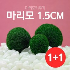 29a2b45a1ac1668d8b0c0d9678bc1bf6a7988ba0ee9da51e751c25ccdd48.jpg