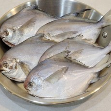 투오손질 병어 10마리, 상세페이지 참조, 1개