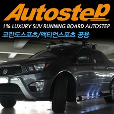 액티언스포츠사이드스텝