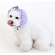 강아지샤워귀마개