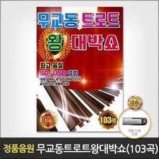 usb음반케이스
