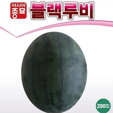 양구두레산수박