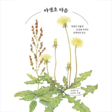 플롯