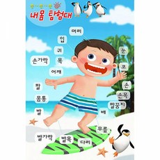 신체벽보