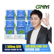 [GNM자연의품격] [차전자피 식이섬유 1일 7 500mg]상쾌한 슬림화이바 6박스 (총, 198g, 6개