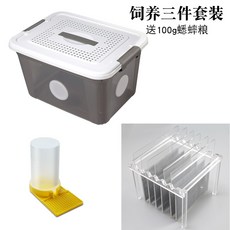 팝몰 귀뚜라미 사육 상자 도마뱀 투명 채집 소라게 곤충 마그네틱 점프 서식지 알통 거북이 전용, 1개