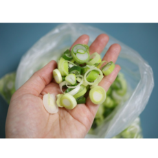 IQF 급속동결 냉동실필수품 슬라이스 대파세트 찌게 탕요리, 2개, 1kg