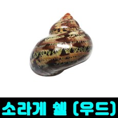 [클릭해바] 소라게 쉘 화이트 껍데기 용품 은신처 집 껍질 탈피 우드 키우기 달팽이 그린 애완 도둑게, 소라게쉘(우드), 1개