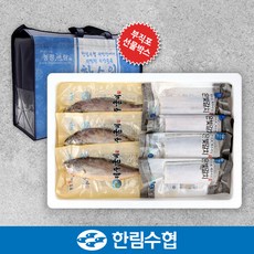 [수산대전20%쿠폰][제주 한림수협] 제주 은갈치300gx3팩+굴비400g(5미)x2팩+부직포, 단일속성, 1개