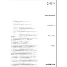 카프카실종자 TOP01