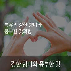 시골커피