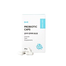  강아지 면역력 유산균 영양제 애견 반려견 본아페티 프로바이오틱스 캡스 60정 4개 