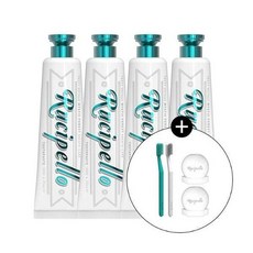 루치펠로칫솔꽂이