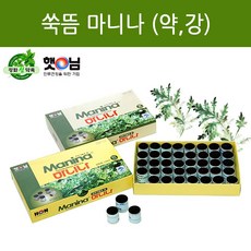 햇님뜸 사자발강화약쑥 쑥뜸 미니뜸 마니나(약) 40개, 1개