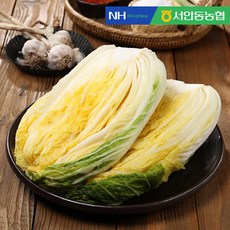 [예약배송] [서안동농협] HACCP 풍산 절임배추 10kg