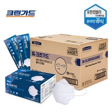 M10 접이식 방진마스크 플러스 대형 40매X4개(44097), 단일상품