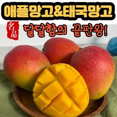 제주애플망고농장