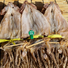 해풍수산