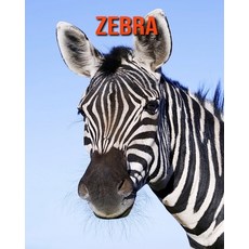 Zebra: Children's Books --- Fun Facts and Amazing Photos of Animals in Nature Paperback, Independently Published, English, 9798697751008