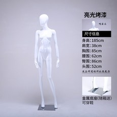 빛전시회