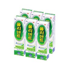 폴리덴트 의치부착재 후레쉬 민트 70g, 6개