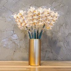 1adda3d40075819dbc71d1fb20d140abd49cf5158b1a56ccb49a8b6f2371.jpg