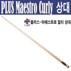 한밭마에스트로