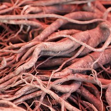 [더자인] 영양가득 흙약도라지 실속 1kg, 1개, 상세 설명 참조