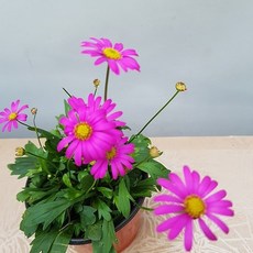 b1407cb44395c7d68736f08a8435df9ef1cf93ceab2a5fef28e9ed9d6a70.jpg