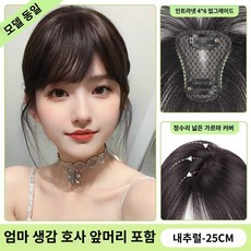 앞머리 녀 정수리 시스루 모조 이마 프랑스식 괄호 앞머리를 흰머리 자연스럽게 가리는 앞머리 슬라이스, 괄호사 앞머리는 자연스럽게 블랙, 1개 - 시스루앞머리