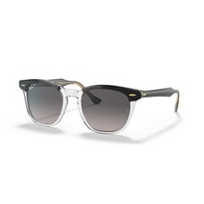 레이벤호크아이