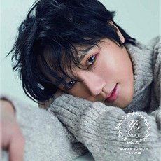 슈퍼주니어예성