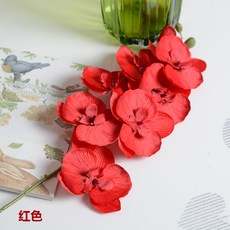 필름카메라현상기