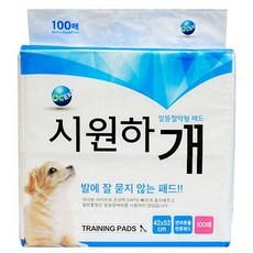 커피색도계cm100중고