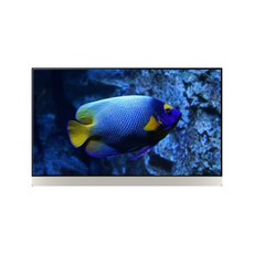 LG전자 55LX1QKNA OLEDTV 각도벽걸이형